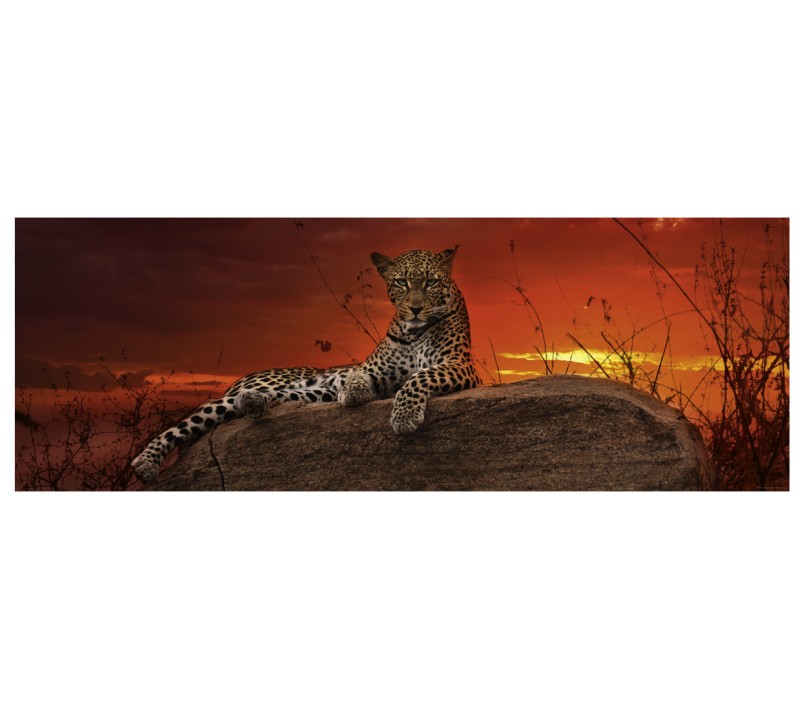 PUZZLE HEYE - ALBA ROSSA 2000 PZ