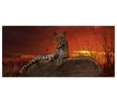 PUZZLE HEYE - ALBA ROSSA 2000 PZ
