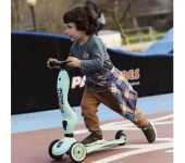 MONOPATTINO 2 IN 1 HIGHWAYKICK 1 SCOOT AND RIDE - KIWI
