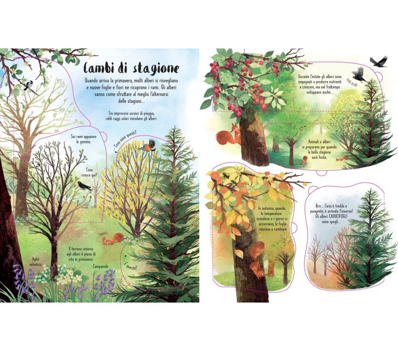 SOLLEVO E SCOPRIO - GLI ALBERI