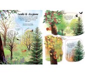 SOLLEVO E SCOPRIO - GLI ALBERI
