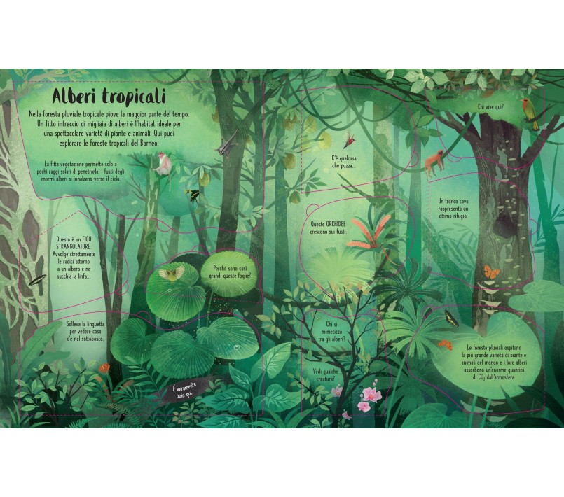 SOLLEVO E SCOPRIO - GLI ALBERI