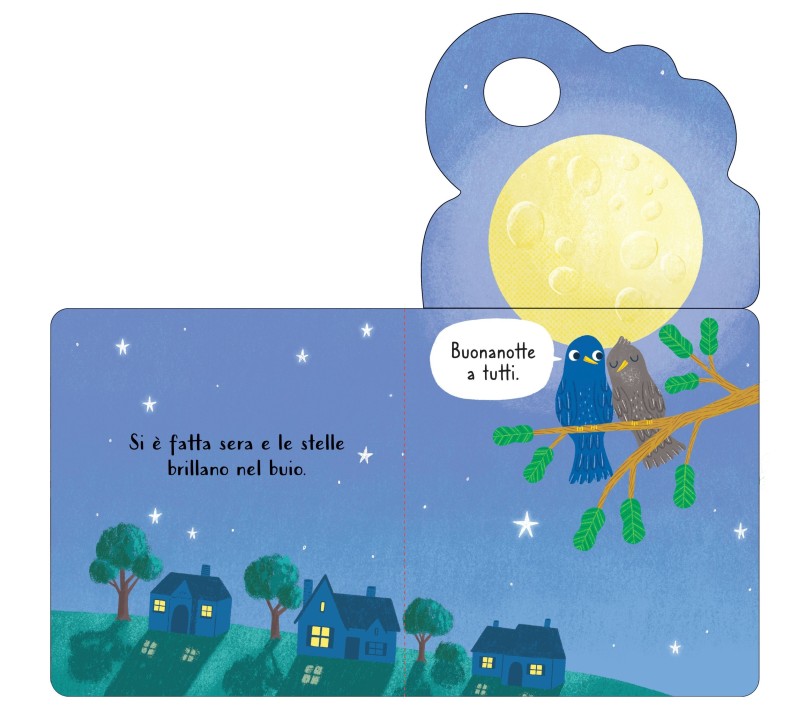LIBRO CON ALETTE - SU NEL CIELO