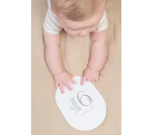 SET CARTE PER FOTO RICORDO -  BABY BUNNY