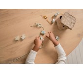 SET FORMA DA INFILARE FATTORIA LITTLE FARM