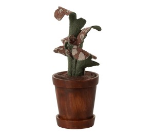 VASO CON PIANTA
