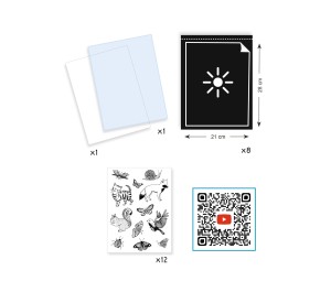 CARTA PER CIANOTIPIA - STARTER KIT