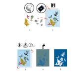 CARTA PER CIANOTIPIA - STARTER KIT