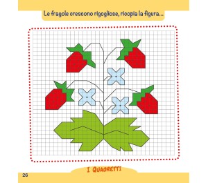 COSE DA GRANDI - QUADRETTI