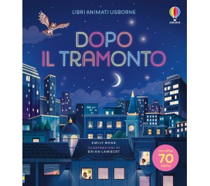 DOPO IL TRAMONTO