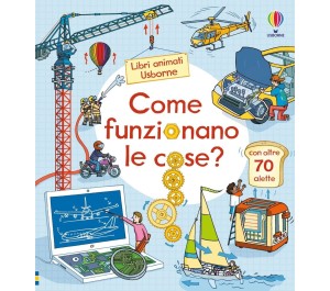 COME FUNZIONANO LE COSE?
